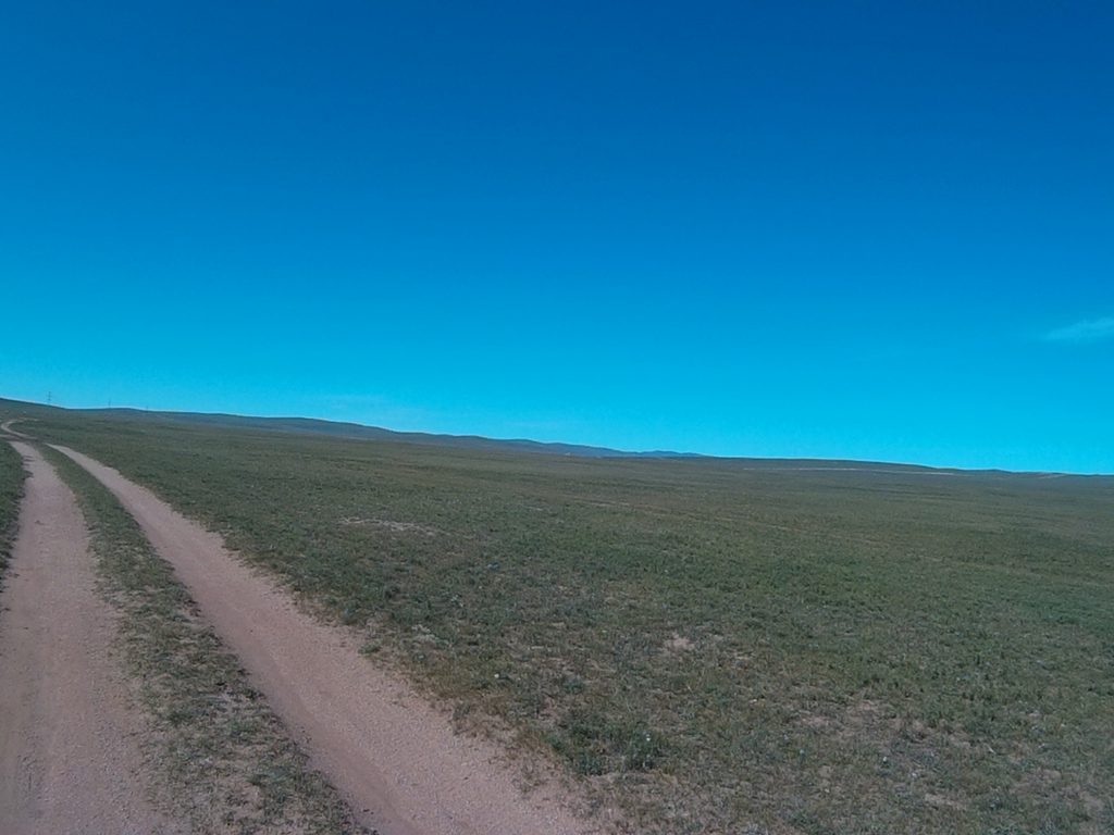 モンゴル国際草原マラソンのコース