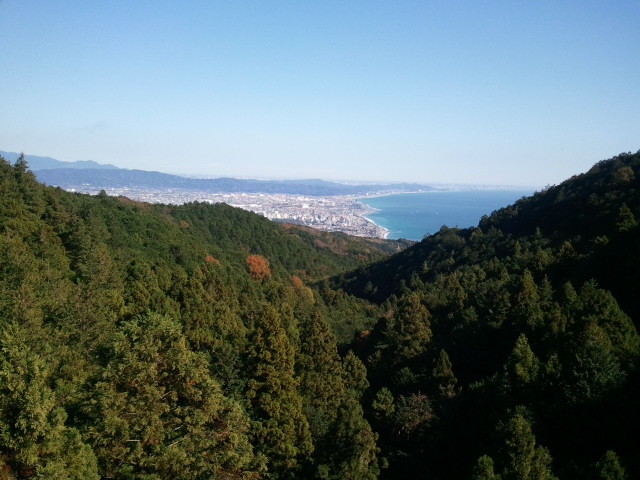 箱根の山中からの相模湾